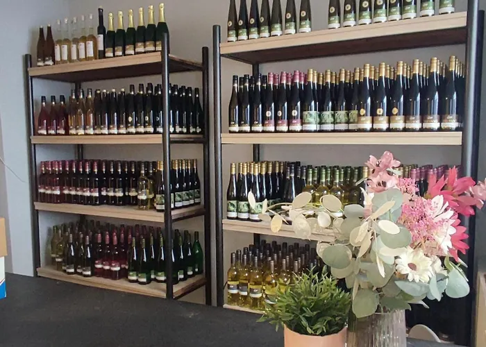 Mit Terrasse Apartamento